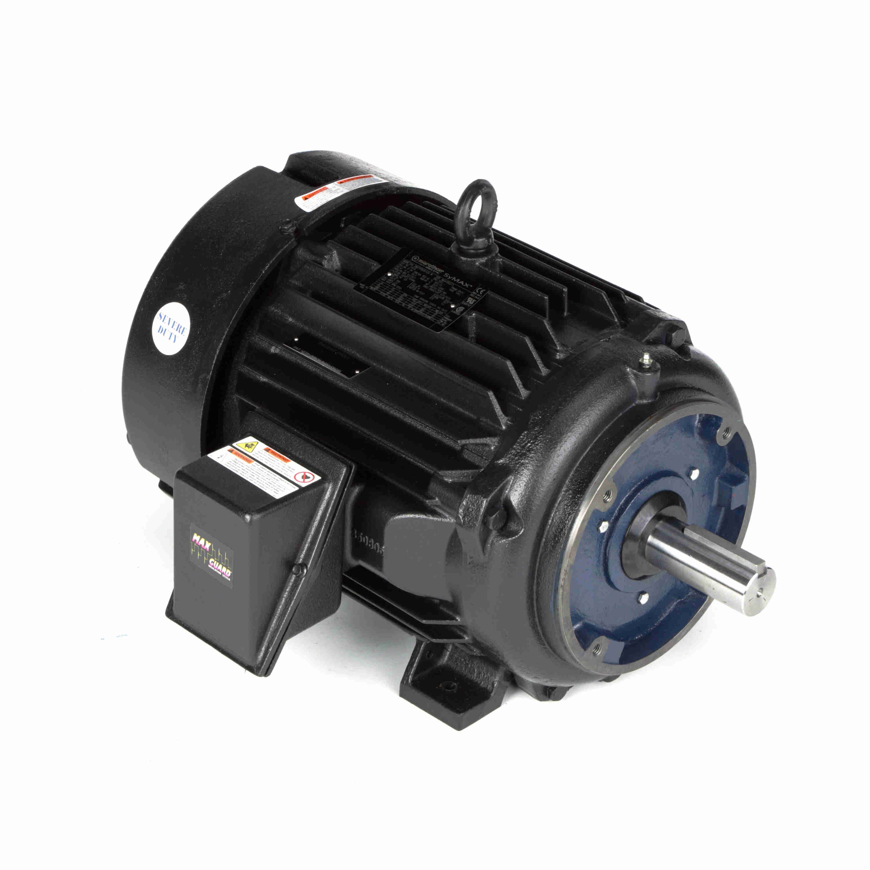 Marathon Electric Inverter (Vector) Duty Motor