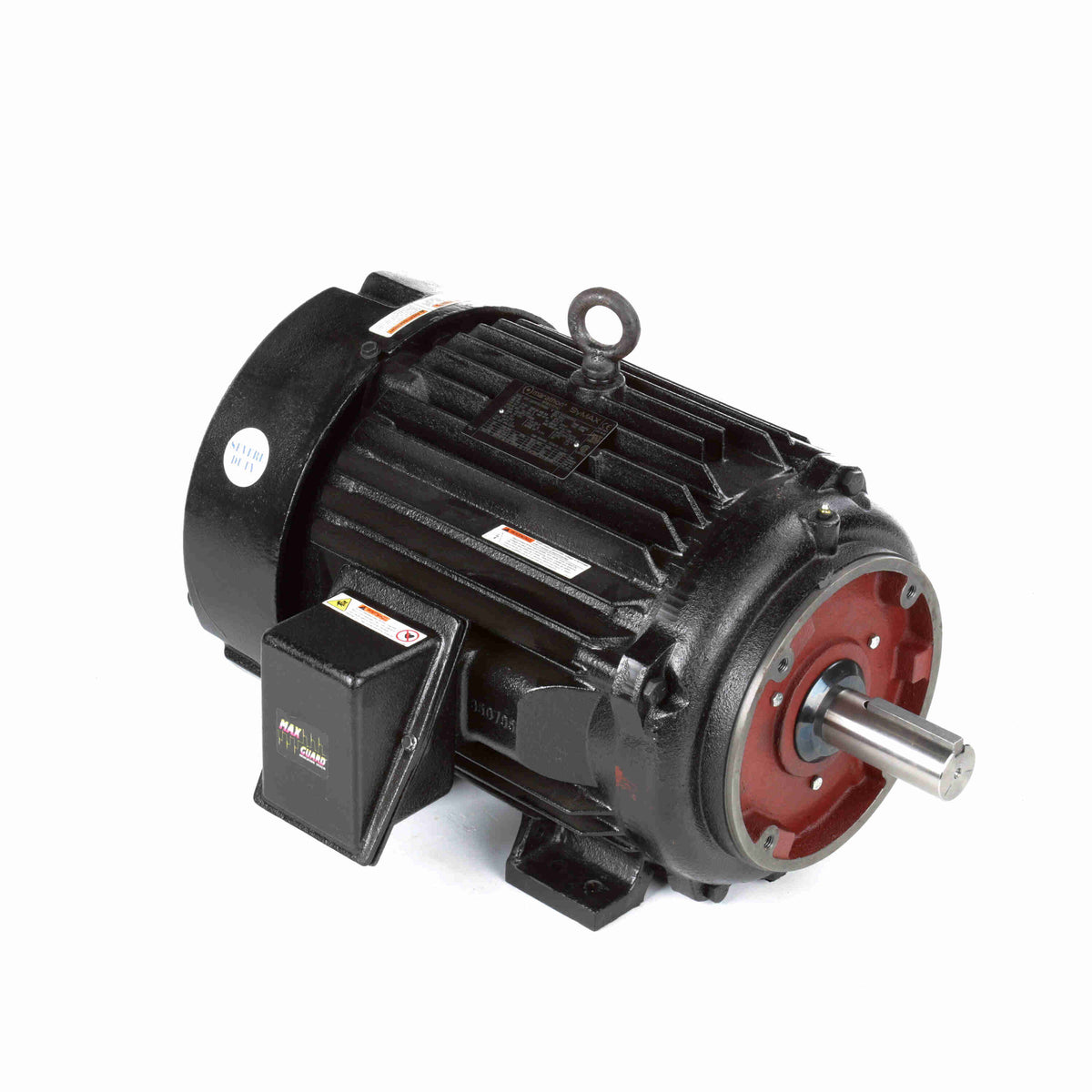 Marathon Electric Inverter (Vector) Duty Motor