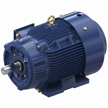 Marathon Electric General Purpose Motor, 30 & 25 HP, 3 Ph, 60 & 50 Hz, 230/460 & 190/380 V, 1800 & 1500 RPM, 286TC Frame, TEFC