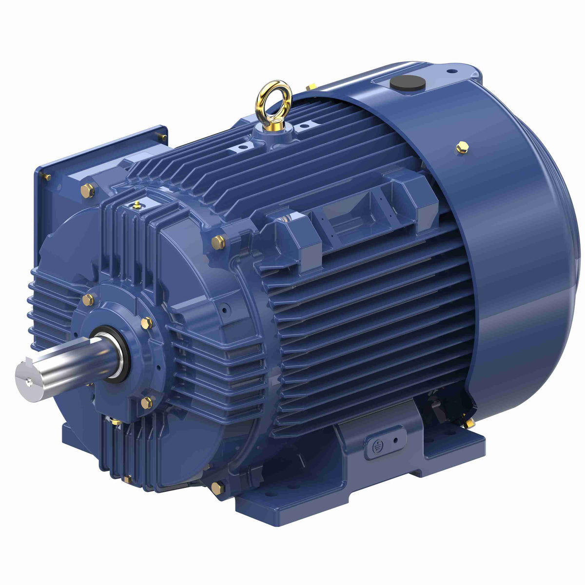 Marathon Electric Inverter (Vector) Duty Motor