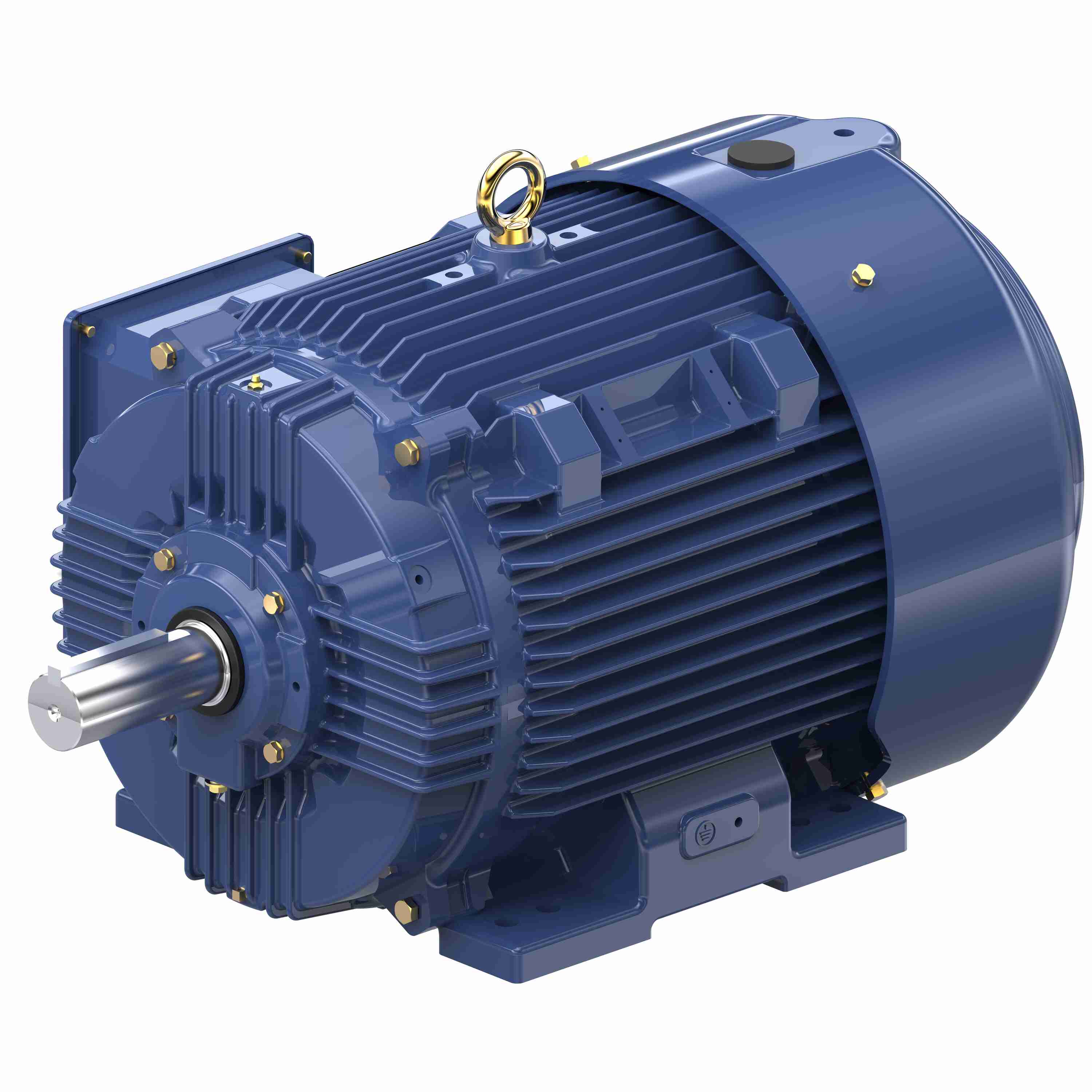 Marathon Electric Inverter (Vector) Duty Motor