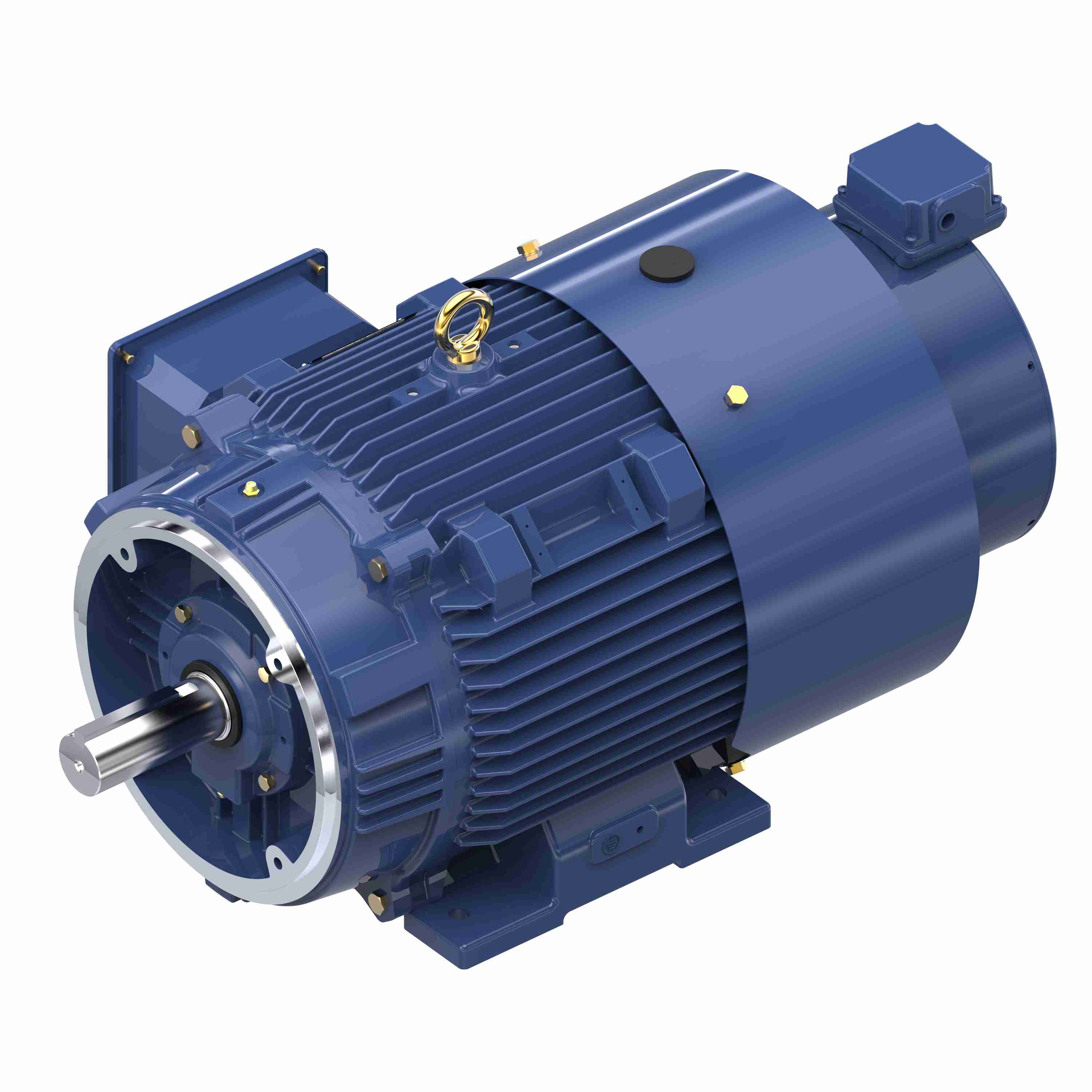 Marathon Electric Inverter (Vector) Duty Motor