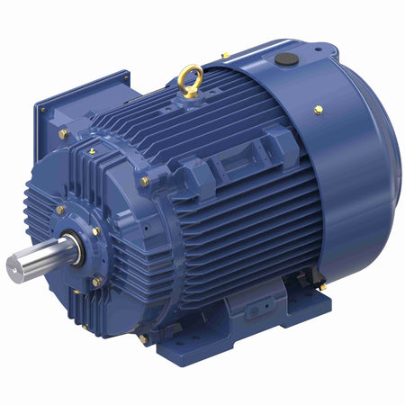 Marathon Electric Inverter (Vector) Duty Motor