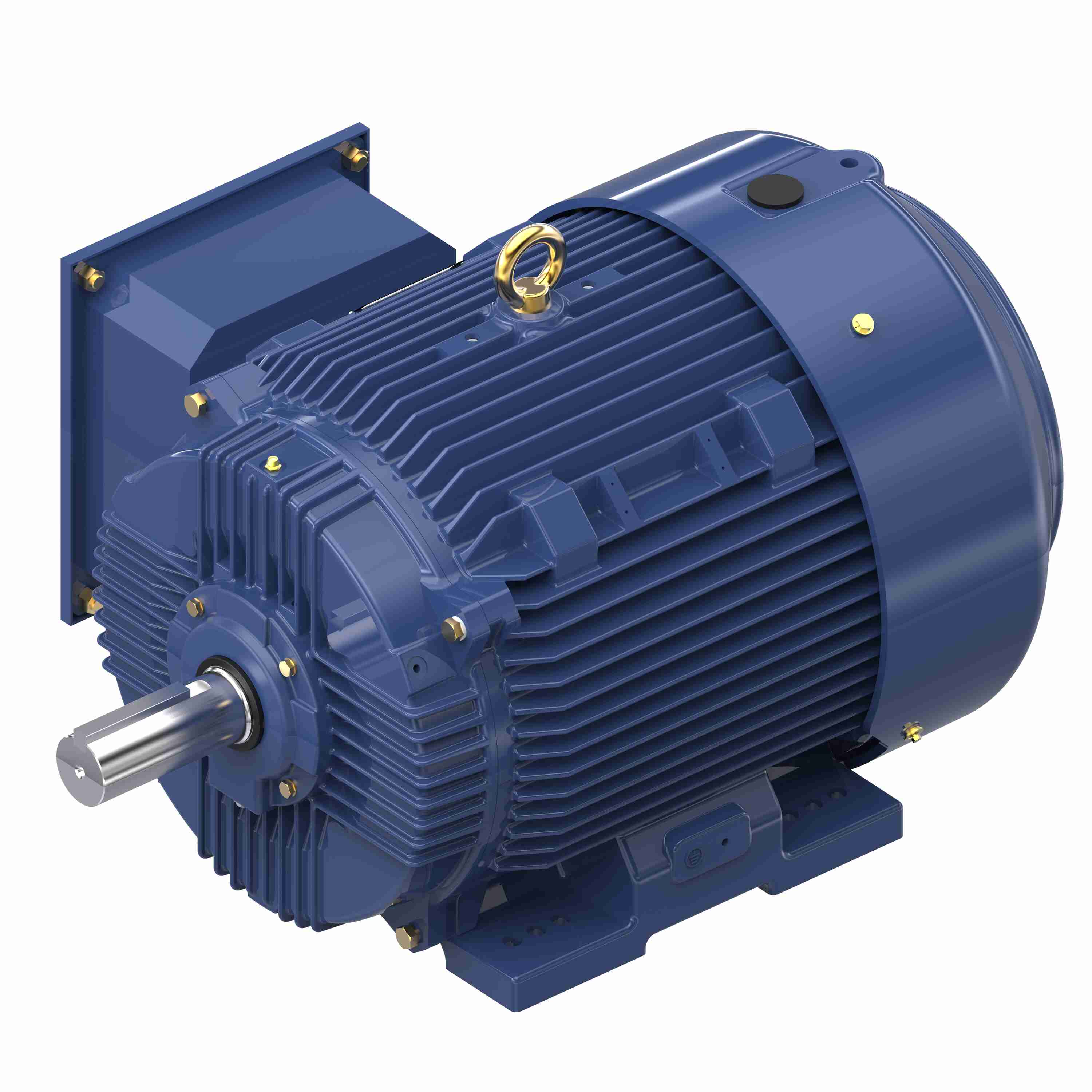 Marathon Electric Inverter (Vector) Duty Motor