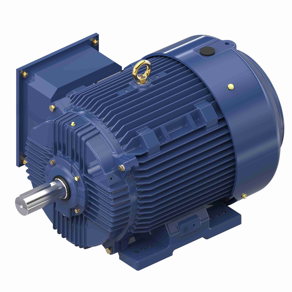 Marathon Electric Inverter (Vector) Duty Motor