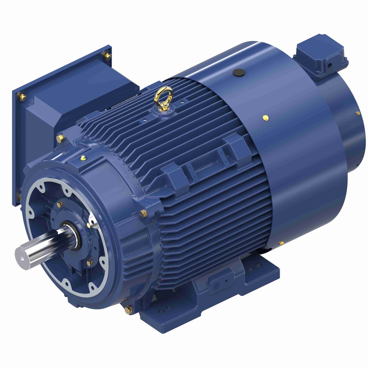 Marathon Electric Inverter (Vector) Duty Motor