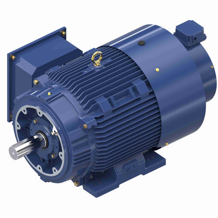 Marathon Electric Inverter (Vector) Duty Motor