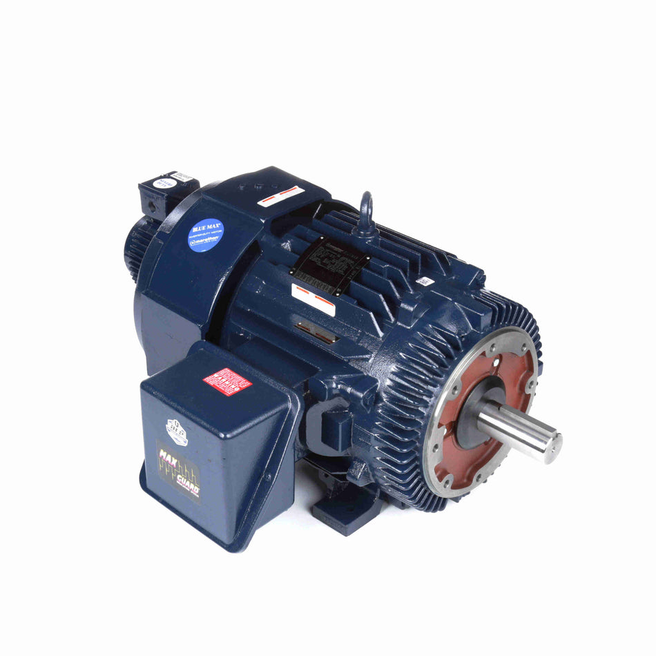 Marathon Electric Inverter (Vector) Duty Motor
