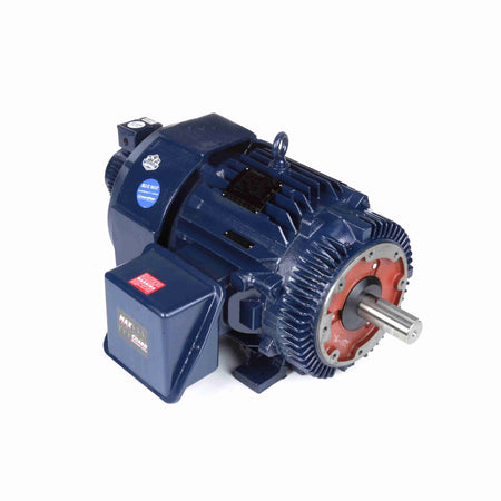 Marathon Electric Inverter (Vector) Duty Motor