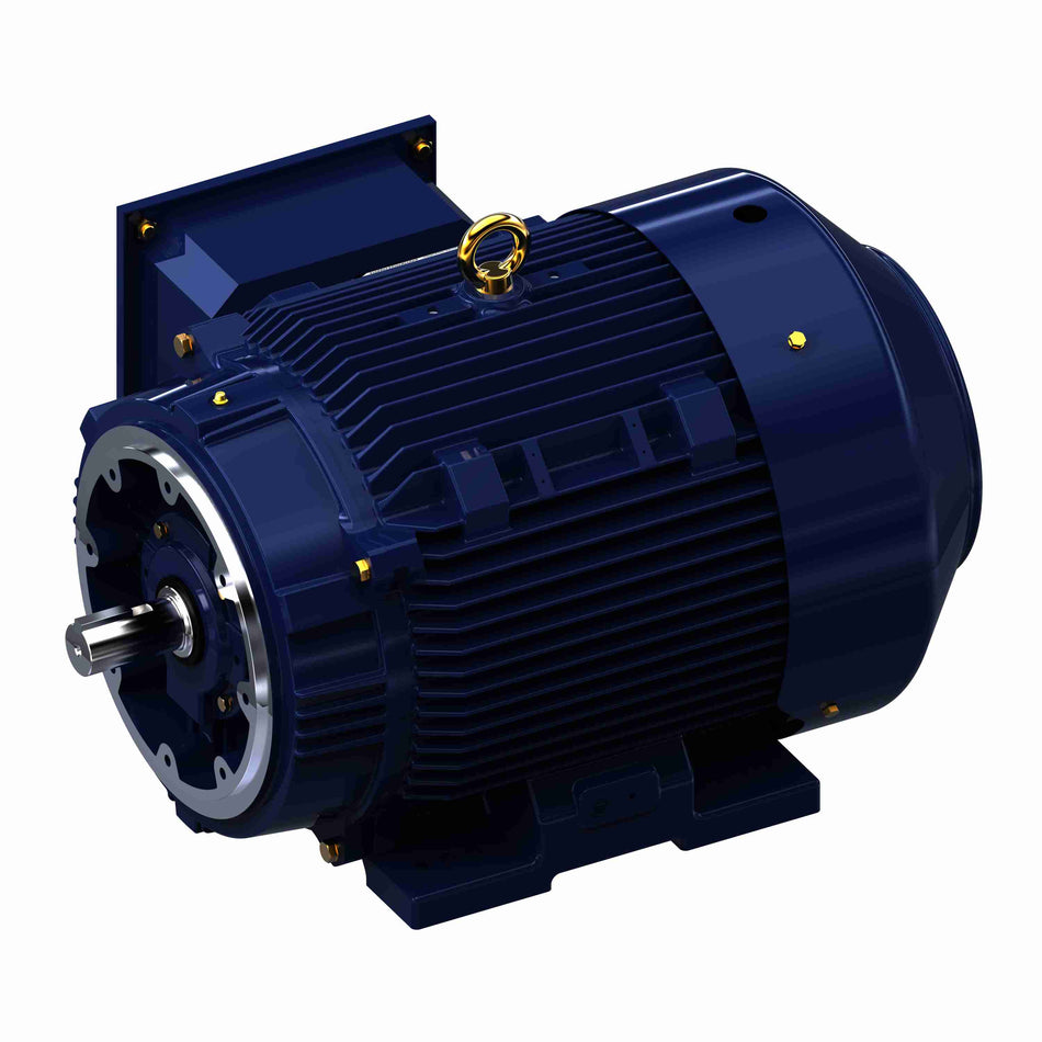 Marathon Electric General Purpose Motor, 75 & 60 HP, 3 Ph, 60 & 50 Hz, 230/460 & 190/380 V, 1800 & 1500 RPM, 365TSC Frame, TEFC