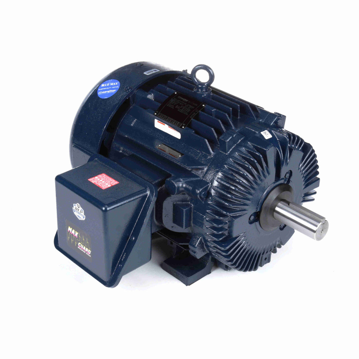 Marathon Electric Inverter (Vector) Duty Motor