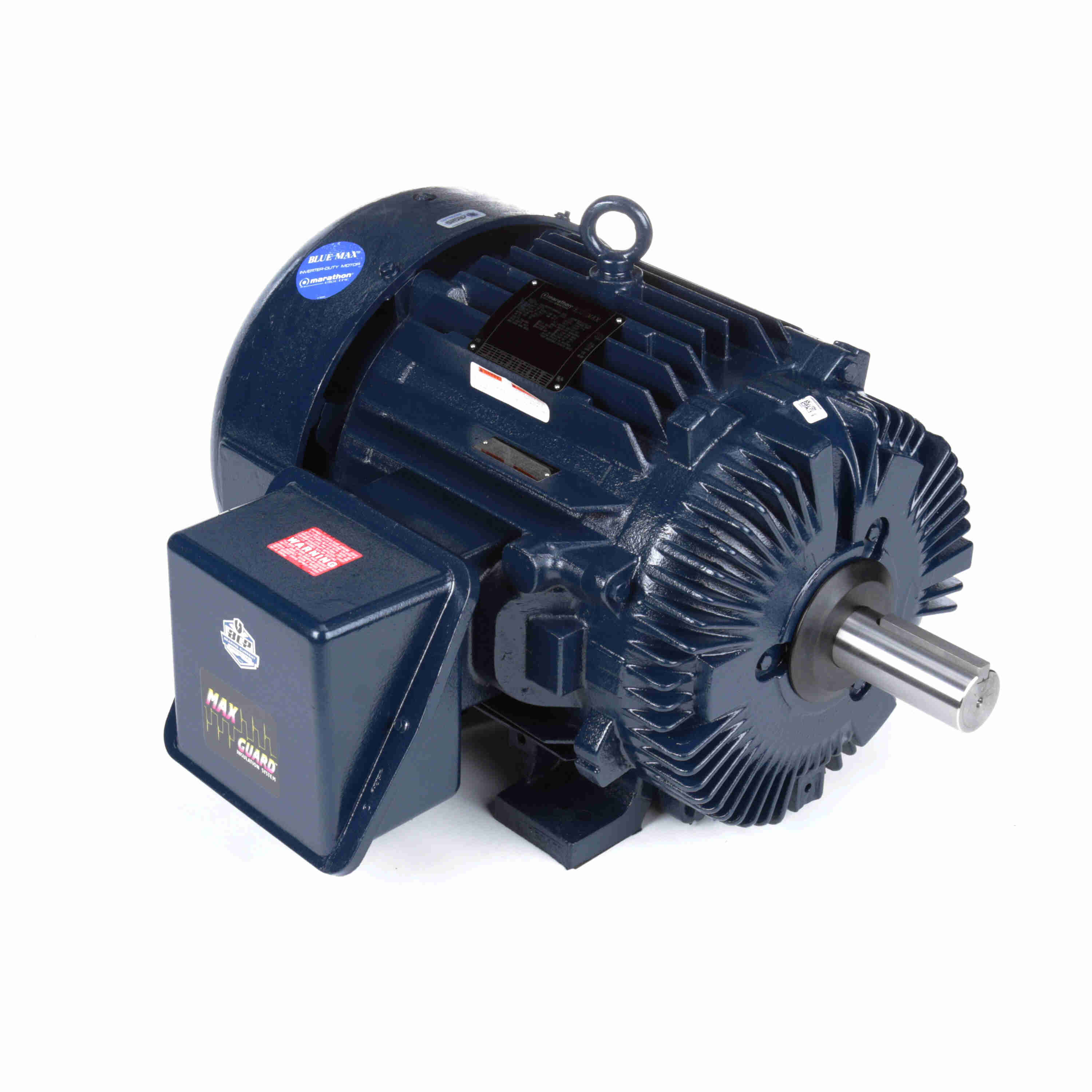 Marathon Electric Inverter (Vector) Duty Motor