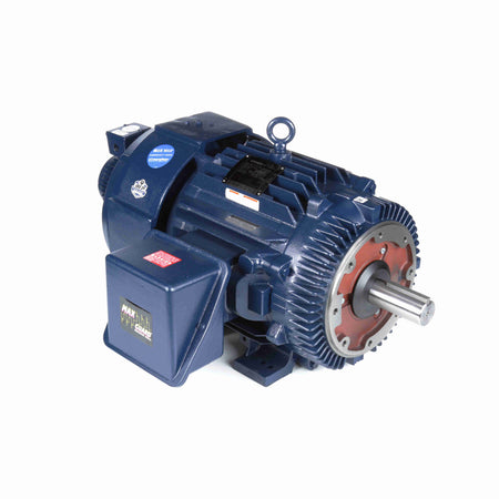 Marathon Electric Inverter (Vector) Duty Motor