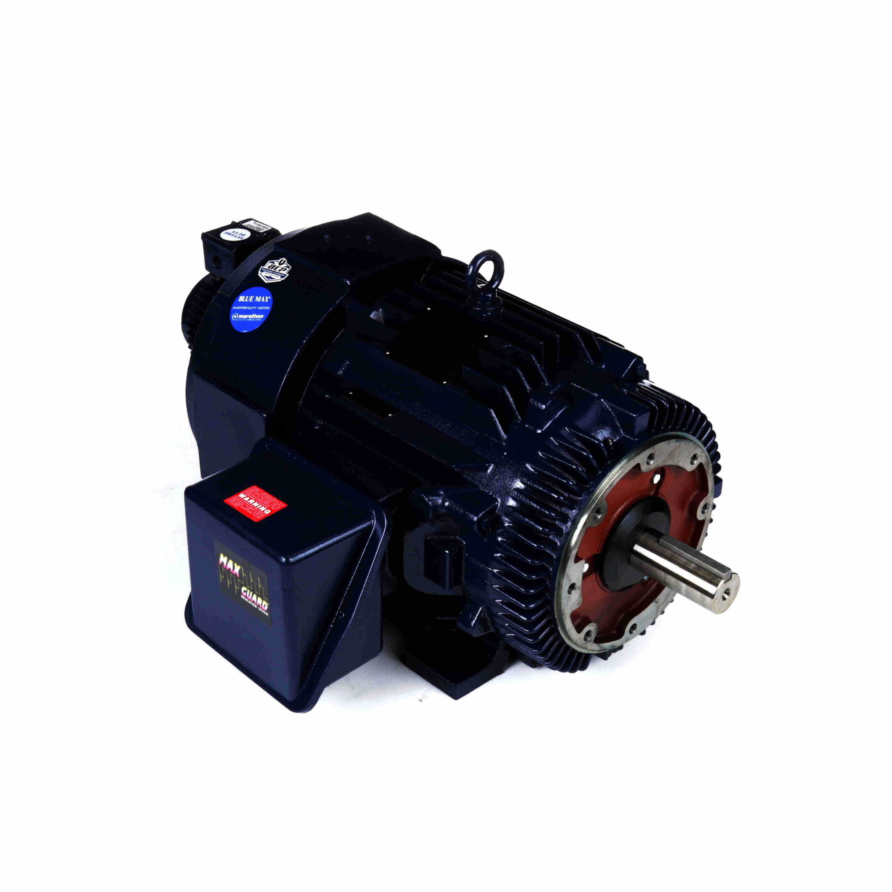 Marathon Electric Inverter (Vector) Duty Motor