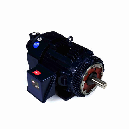 Marathon Electric Inverter (Vector) Duty Motor