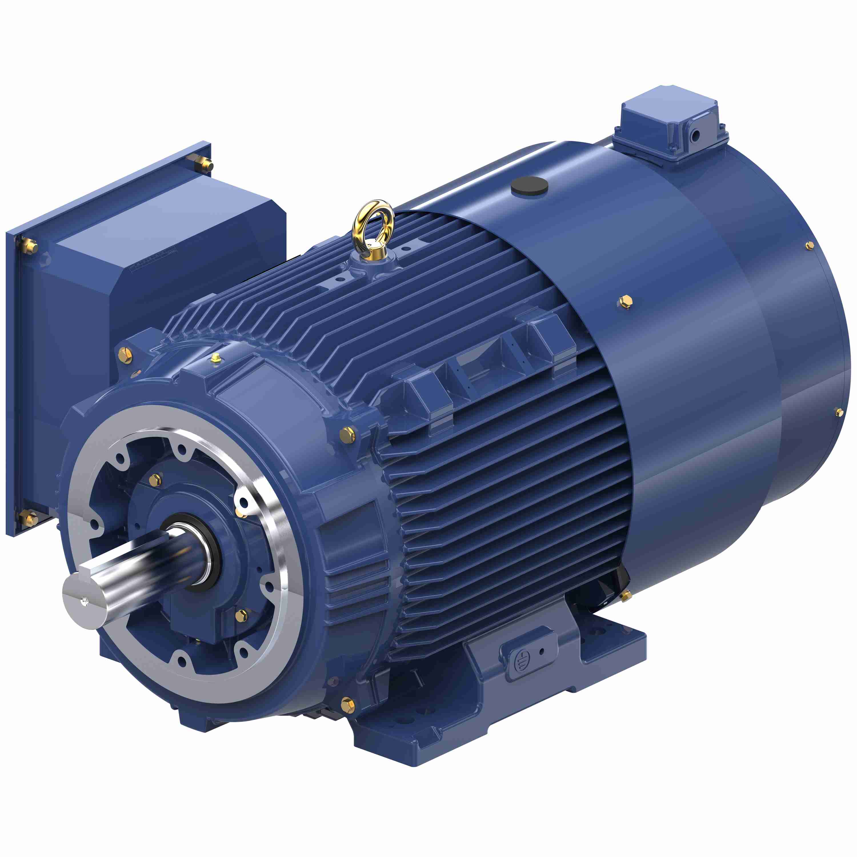 Marathon Electric Inverter (Vector) Duty Motor