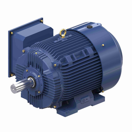 Marathon Electric Inverter (Vector) Duty Motor