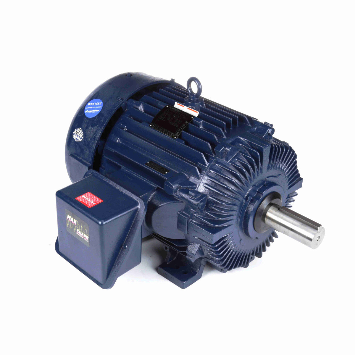 Marathon Electric Inverter (Vector) Duty Motor
