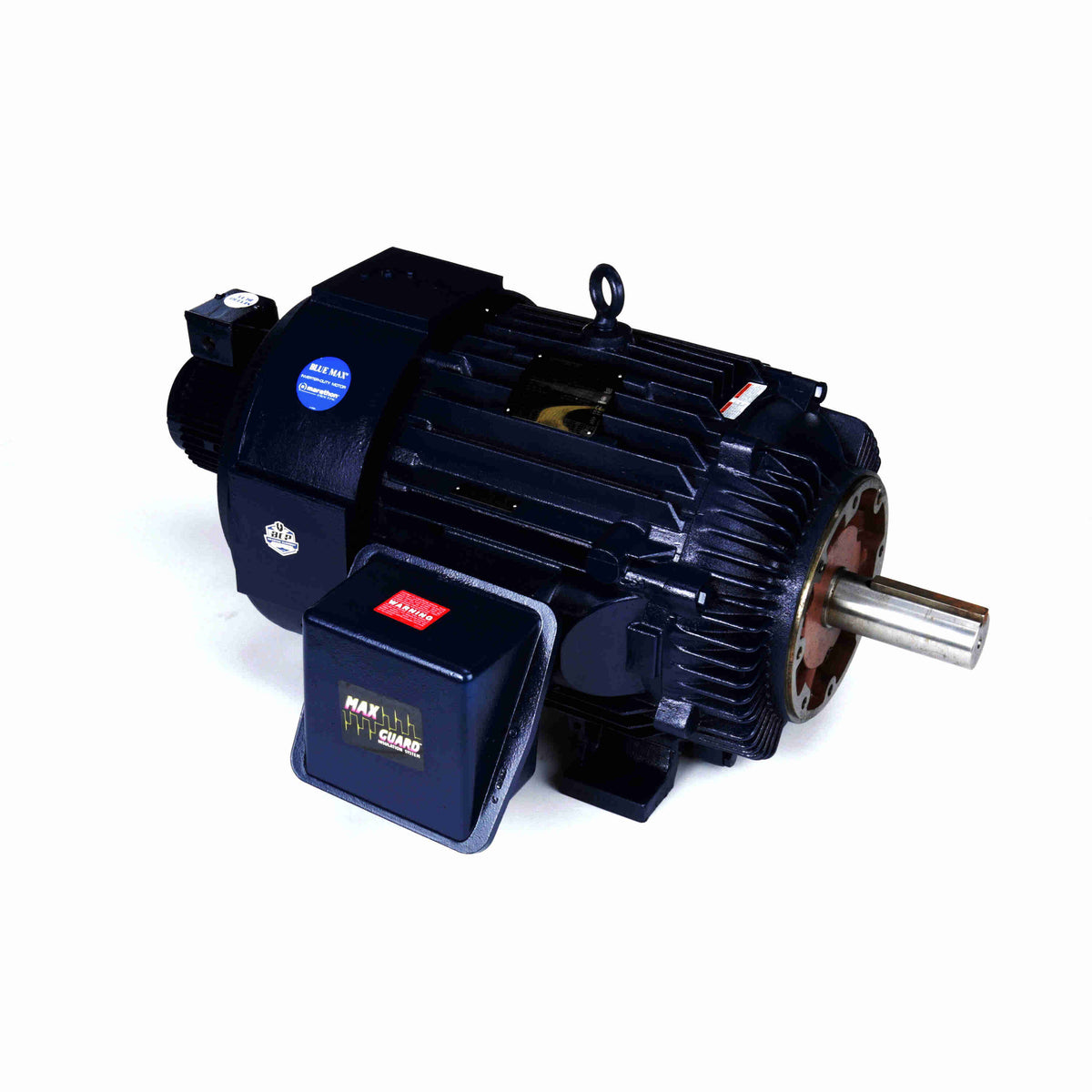 Marathon Electric Inverter (Vector) Duty Motor