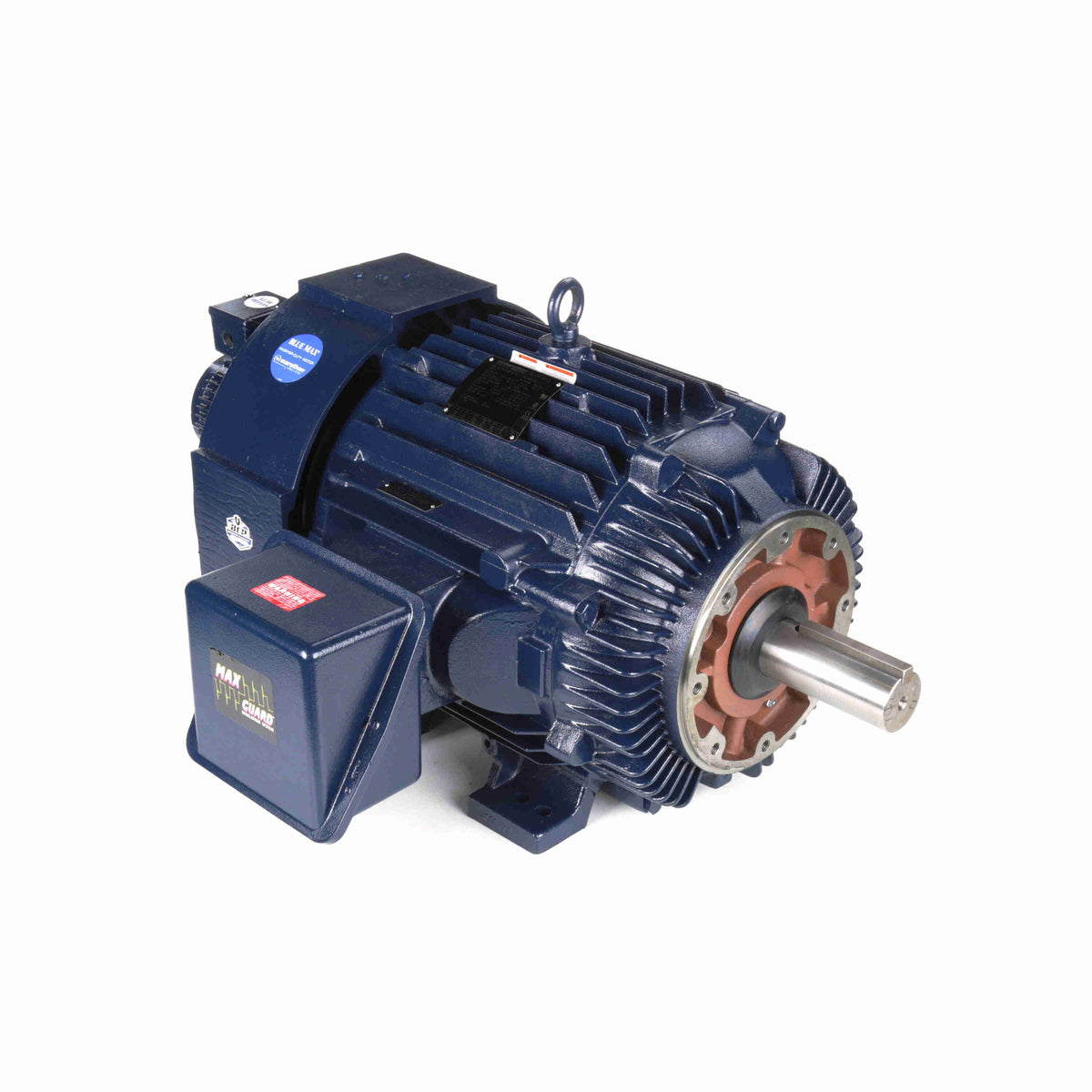 Marathon Electric Inverter (Vector) Duty Motor