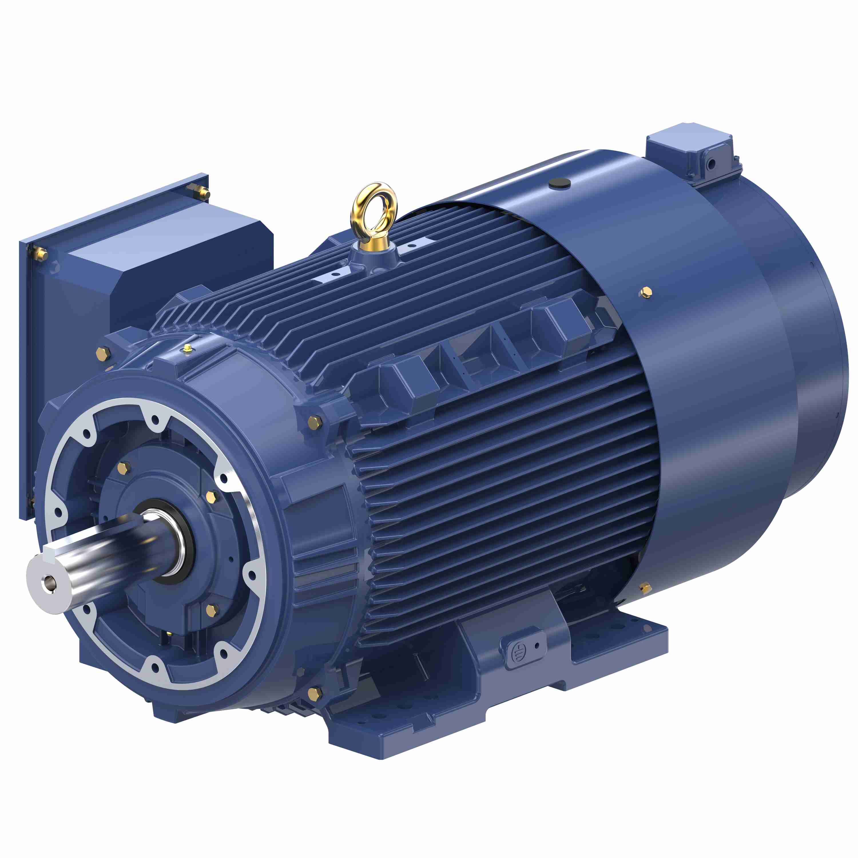 Marathon Electric Inverter (Vector) Duty Motor