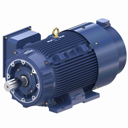 Marathon Electric Inverter (Vector) Duty Motor
