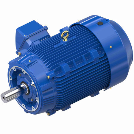 Marathon Electric Severe Duty Motor, 125 HP, 3 Ph, 60 Hz, 460 V, 1800 RPM, 444TCV Frame, TEFC