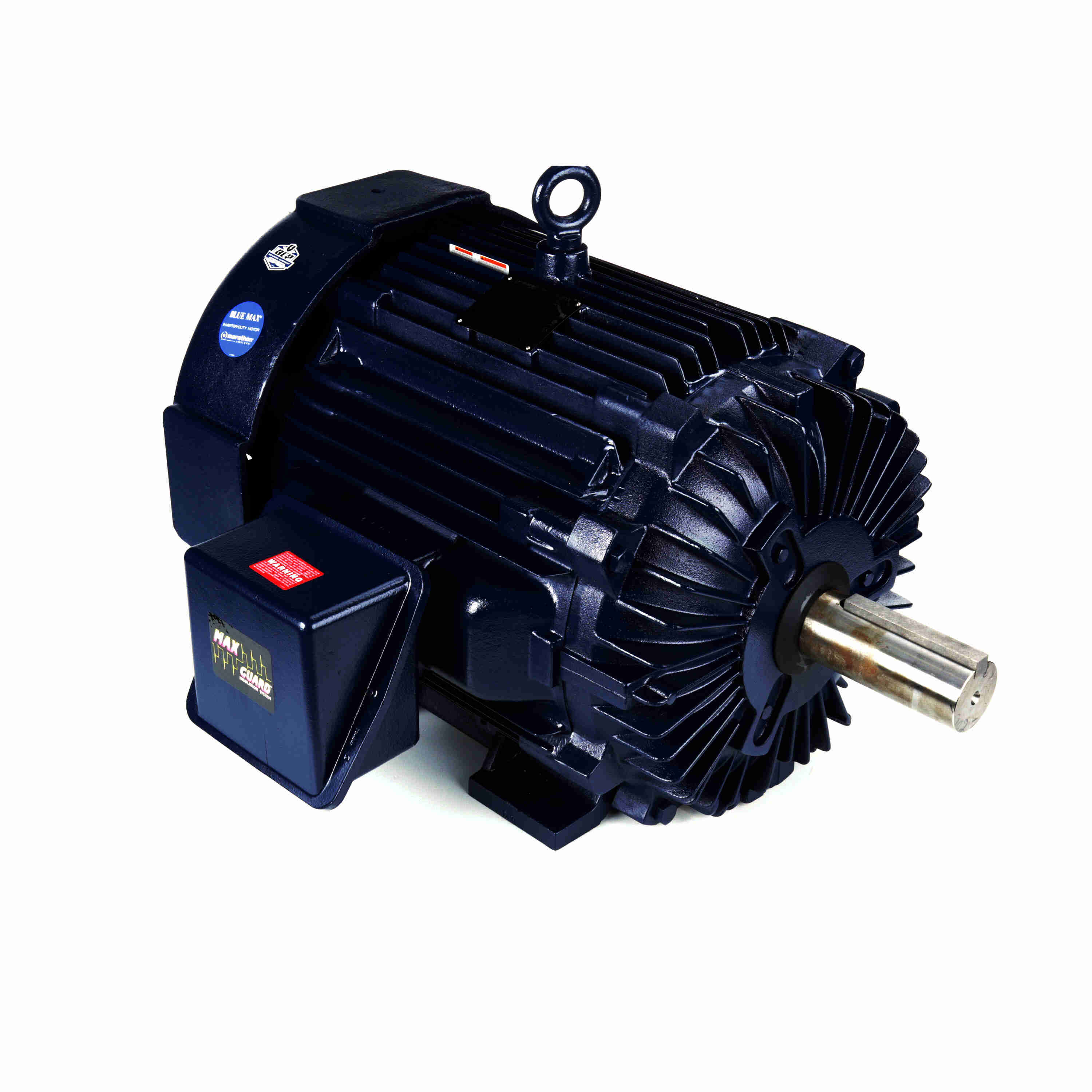 Marathon Electric Inverter (Vector) Duty Motor