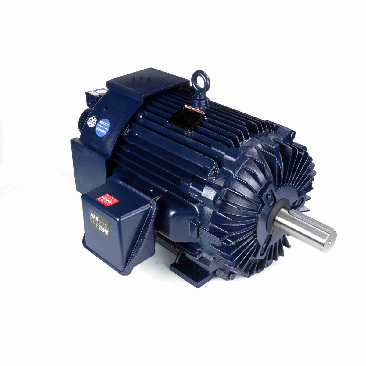 Marathon Electric Inverter (Vector) Duty Motor