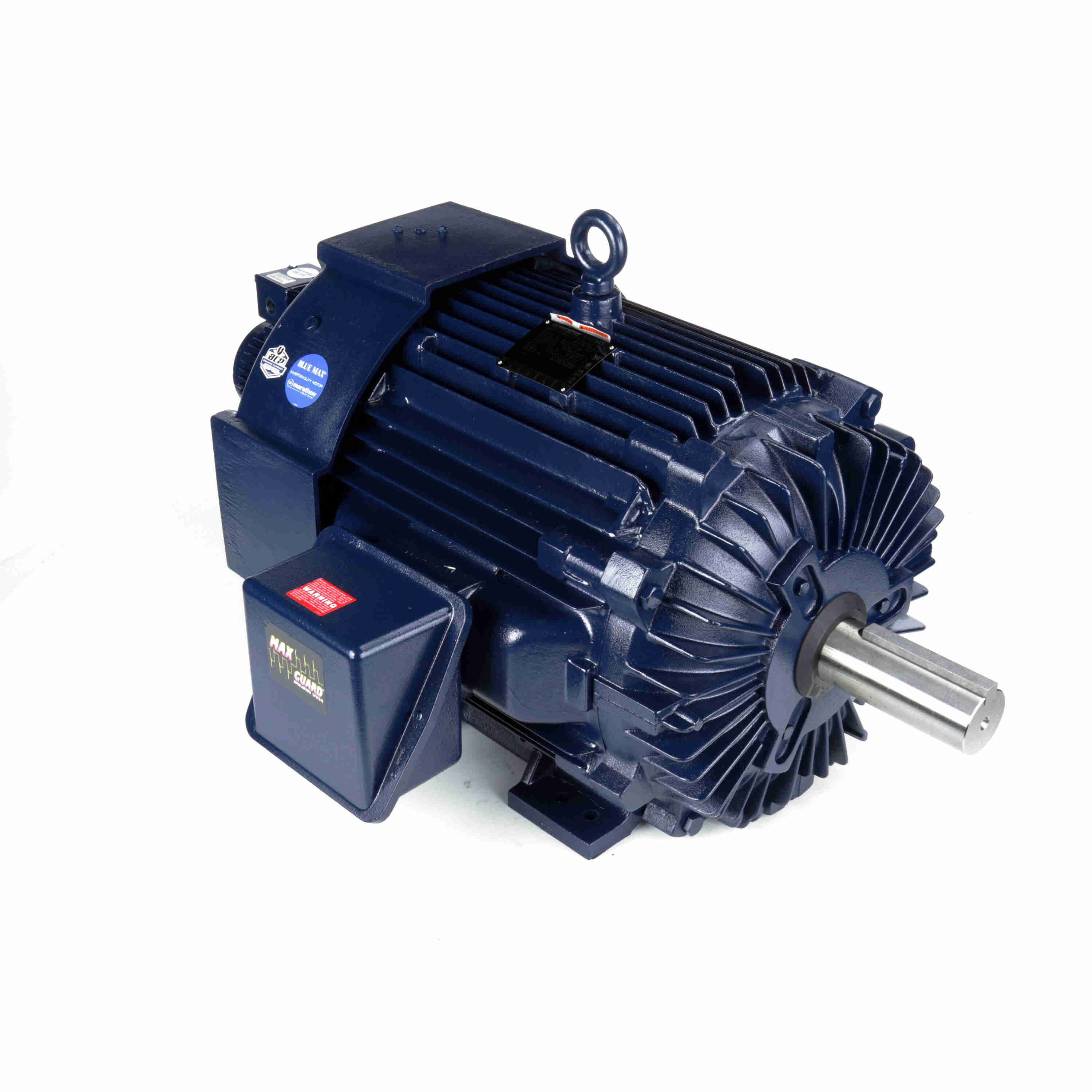 Marathon Electric Inverter (Vector) Duty Motor