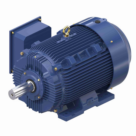 Marathon Electric Inverter (Vector) Duty Motor
