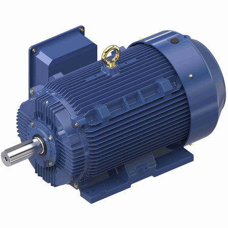 Marathon Electric Inverter (Vector) Duty Motor