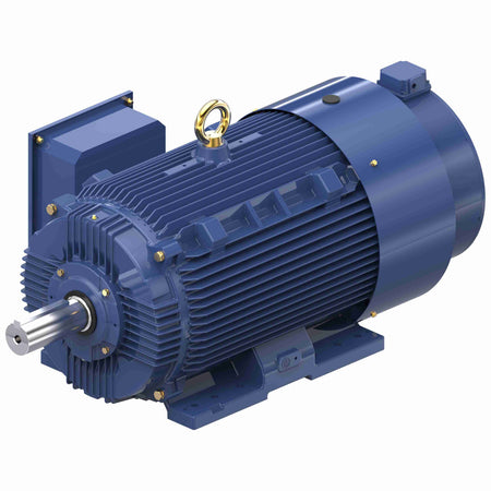 Marathon Electric Inverter (Vector) Duty Motor