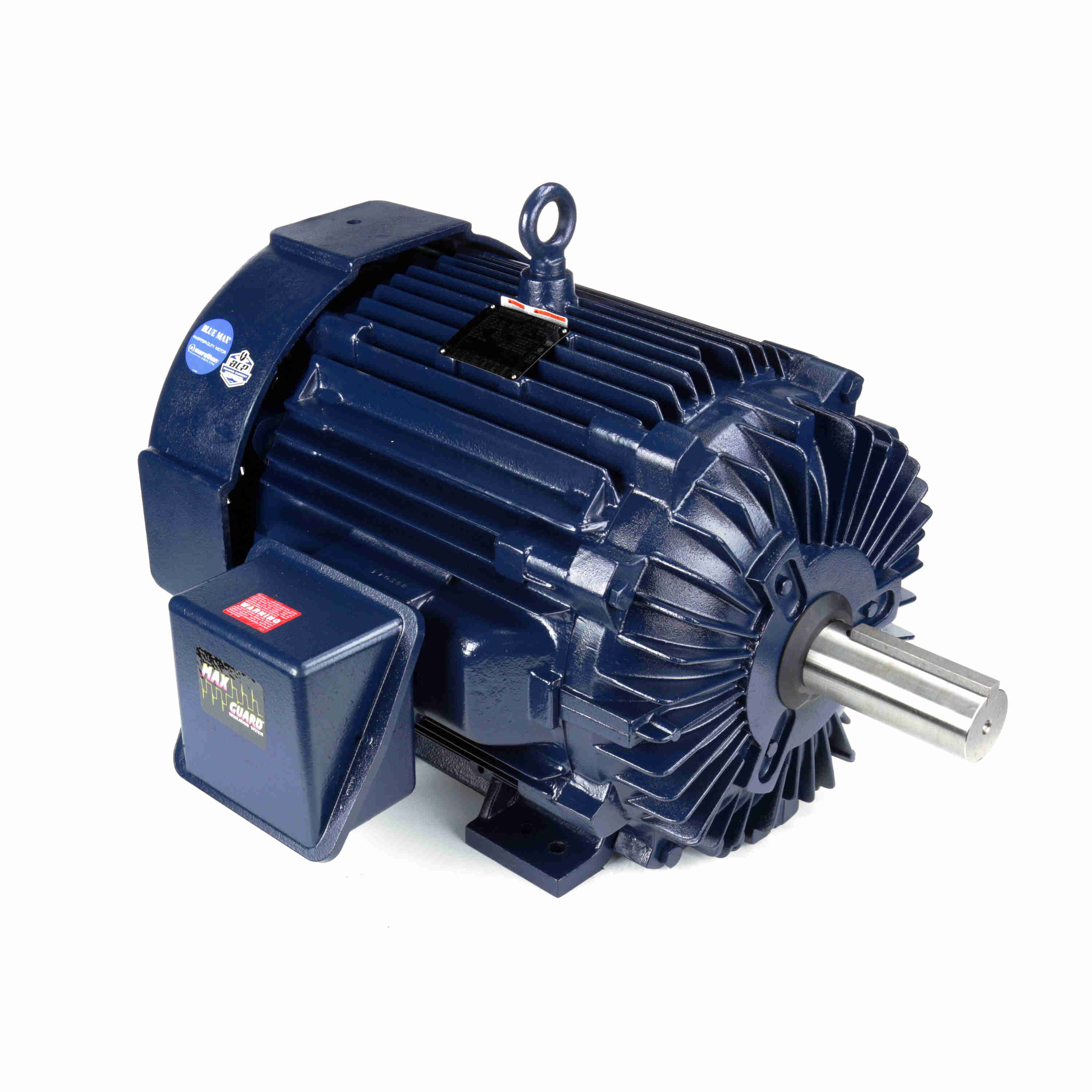 Marathon Electric Inverter (Vector) Duty Motor