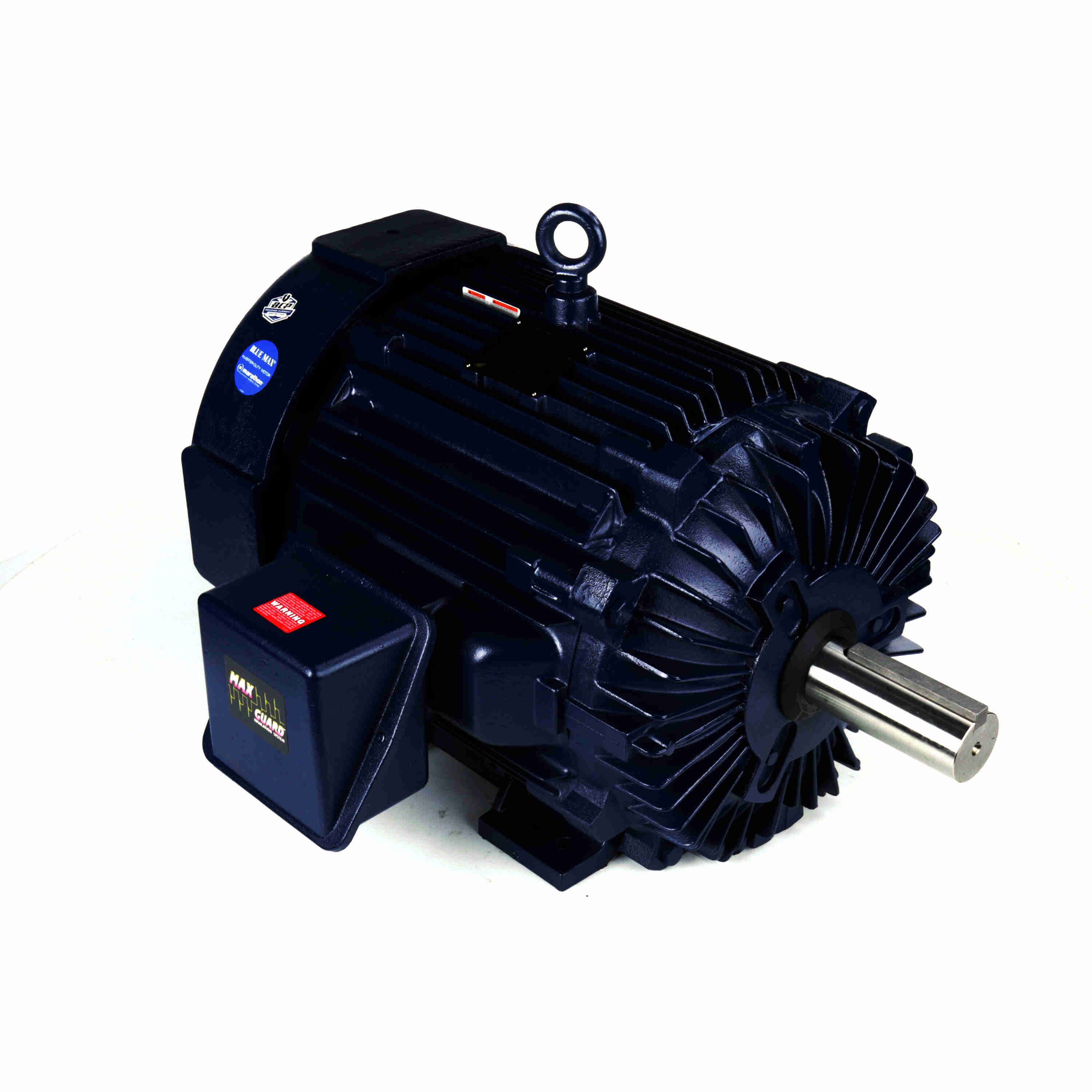 Marathon Electric Inverter (Vector) Duty Motor
