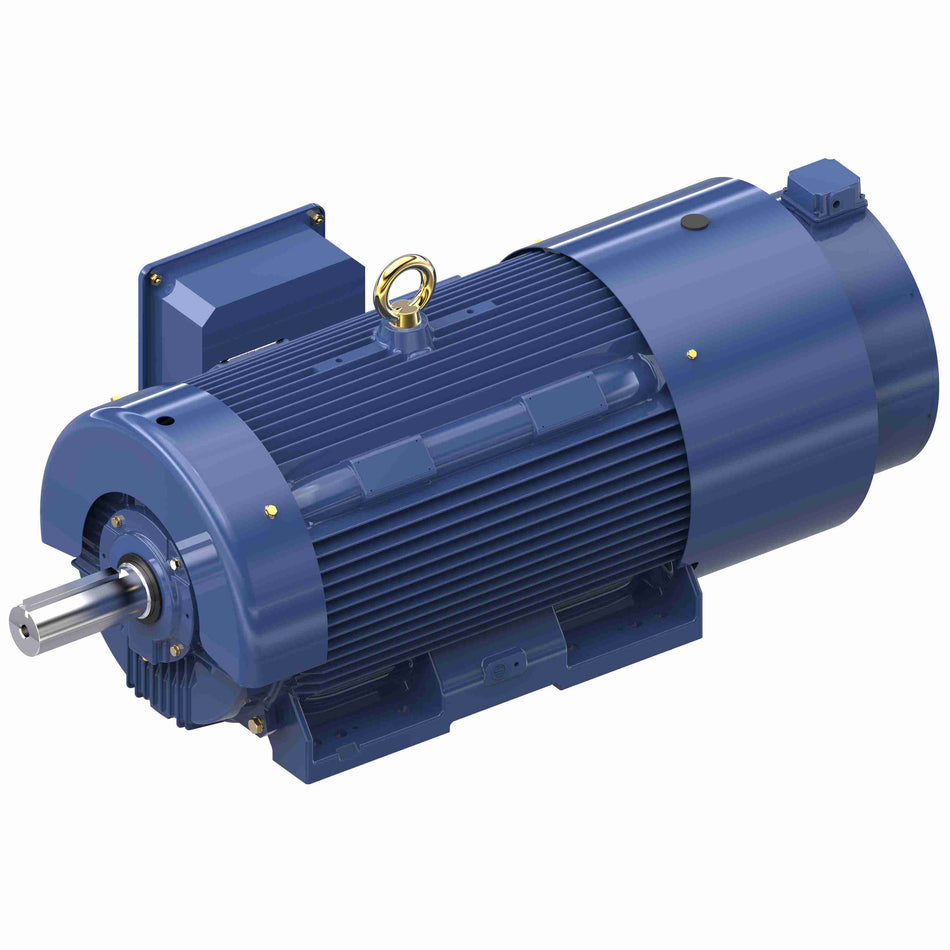 Marathon Electric Inverter (Vector) Duty Motor