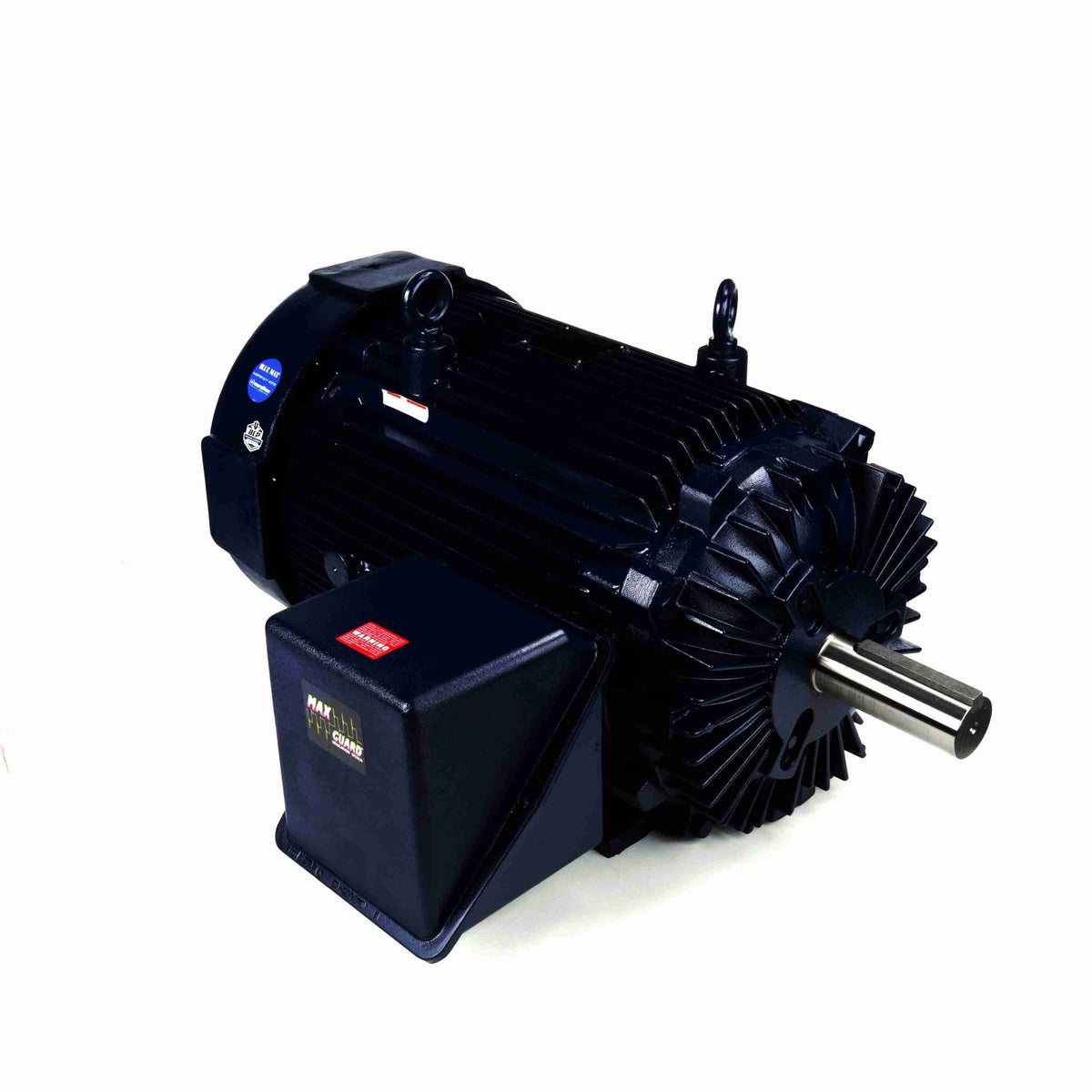 Marathon Electric Inverter (Vector) Duty Motor