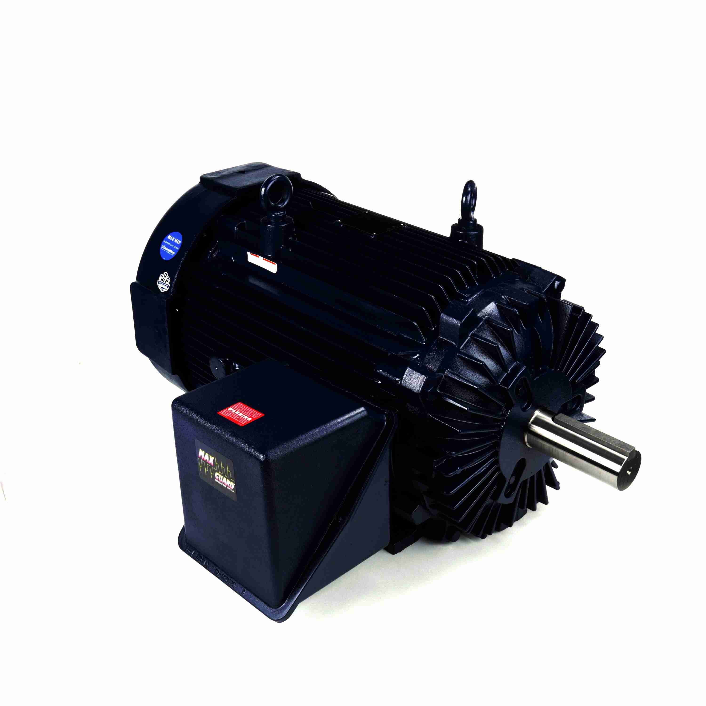 Marathon Electric Inverter (Vector) Duty Motor