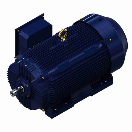 Marathon Electric General Purpose Motor, 300 & 250 HP, 3 Ph, 60 & 50 Hz, 460 & 380 V, 3600 & 3000 RPM, 447/449TS Frame, TEFC