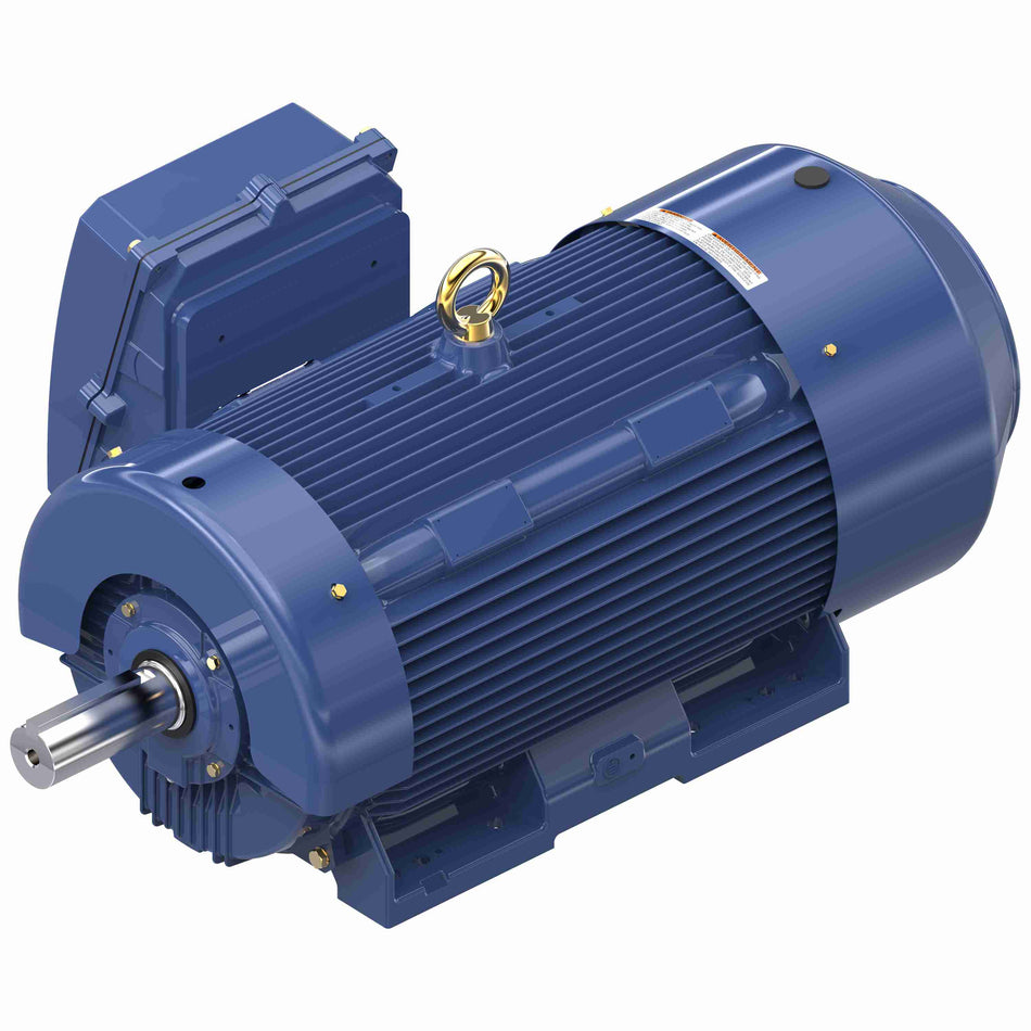 Marathon Electric General Purpose Motor, 300 & 250 HP, 3 Ph, 60 & 50 Hz, 460 & 380 V, 1200 & 1000 RPM, 449T Frame, TEFC