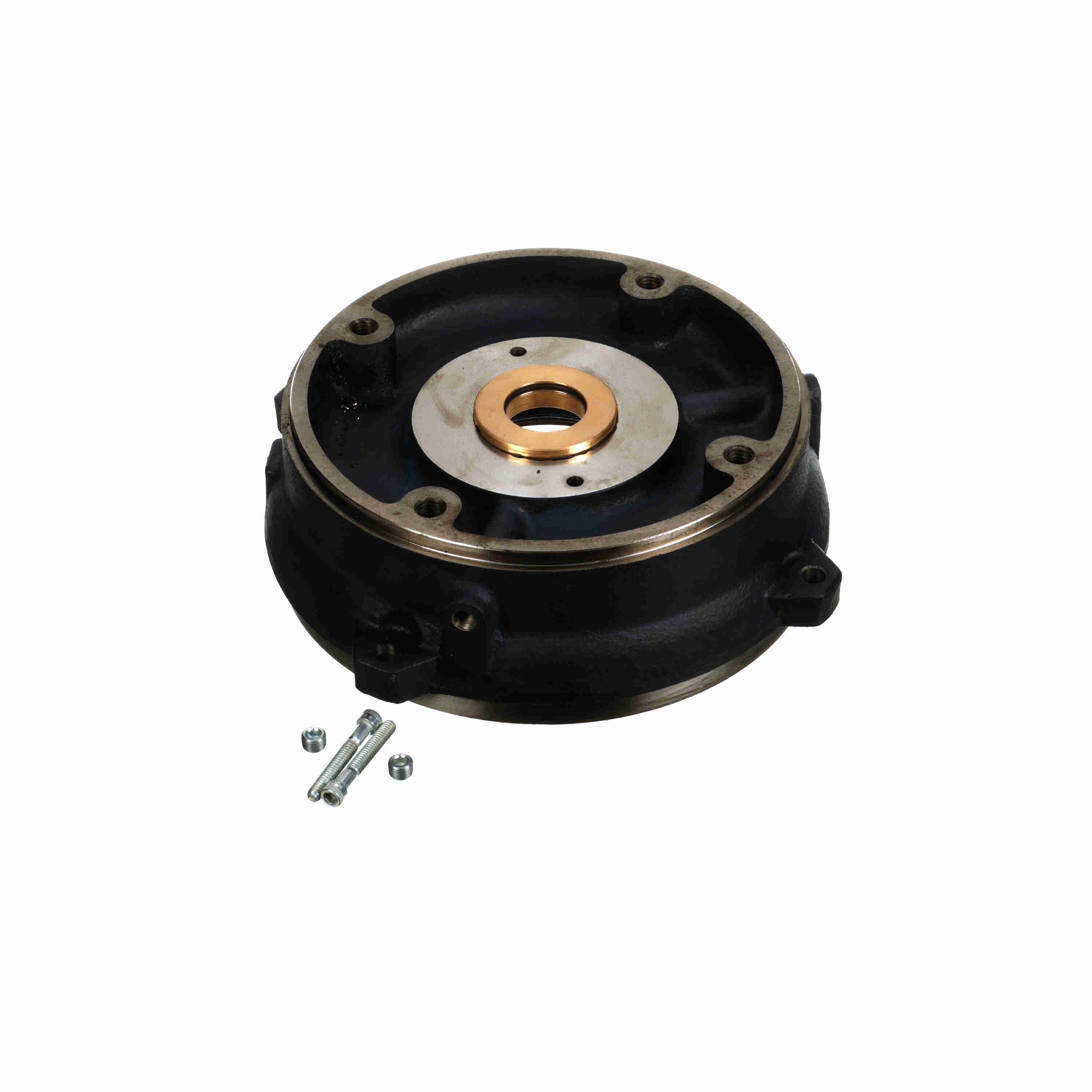 Marathon Electric IEEE 841 C-FACE 213-5T TFN,THN,TTN