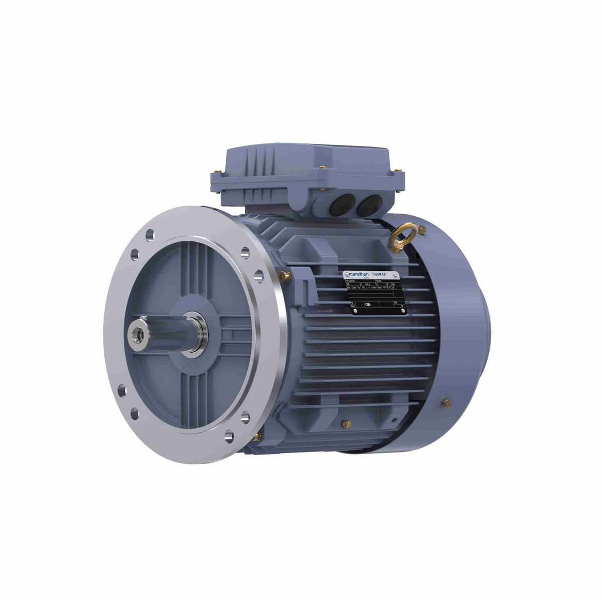 Marathon Electric Cast Iron Motor, 4 HP, 3 Ph, 50 Hz, 400 V, 1000 RPM, 132S Frame, TEFC