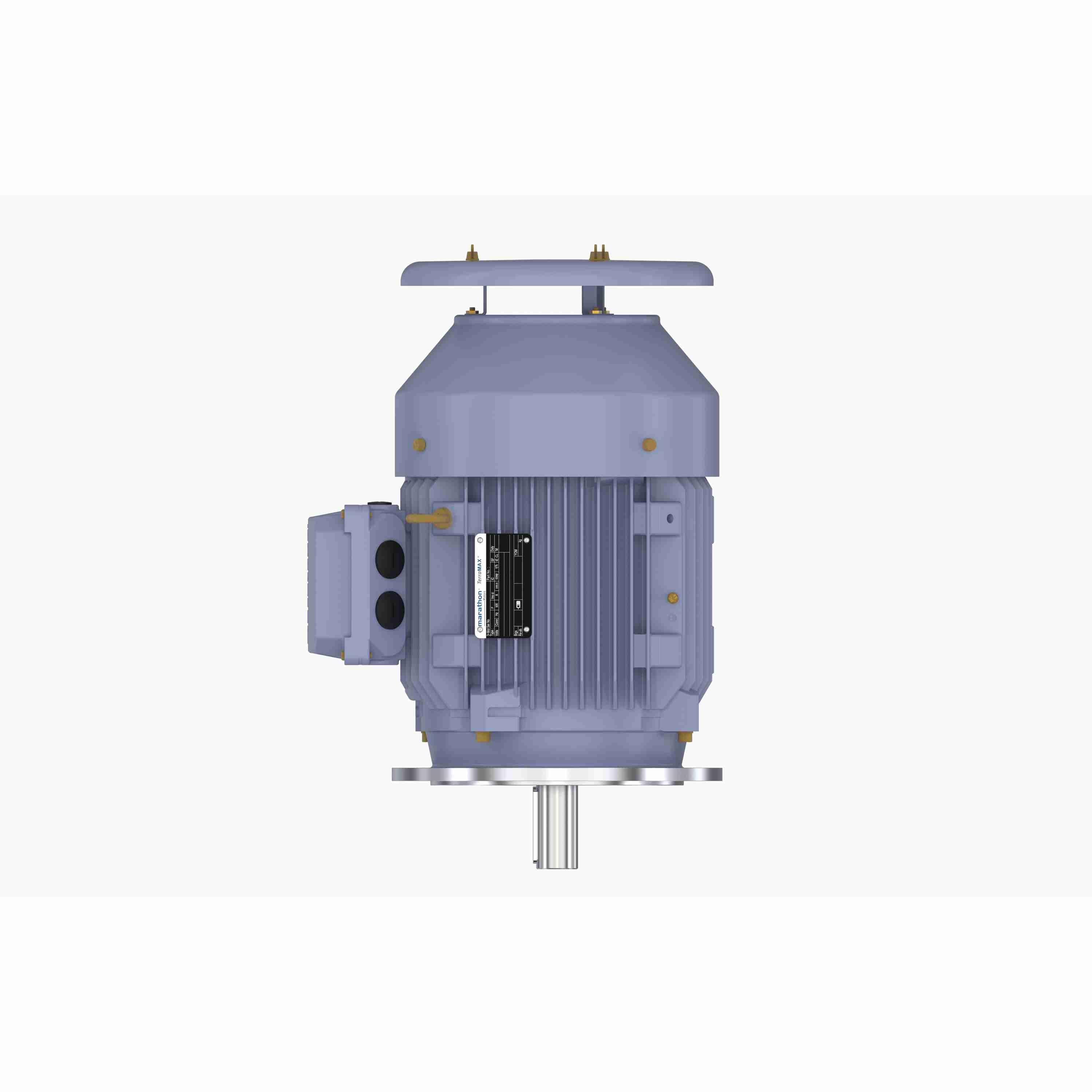 Marathon Electric Cast Iron Motor, 4 HP, 3 Ph, 50 Hz, 380 V, 1000 RPM, 132S Frame, TEFC