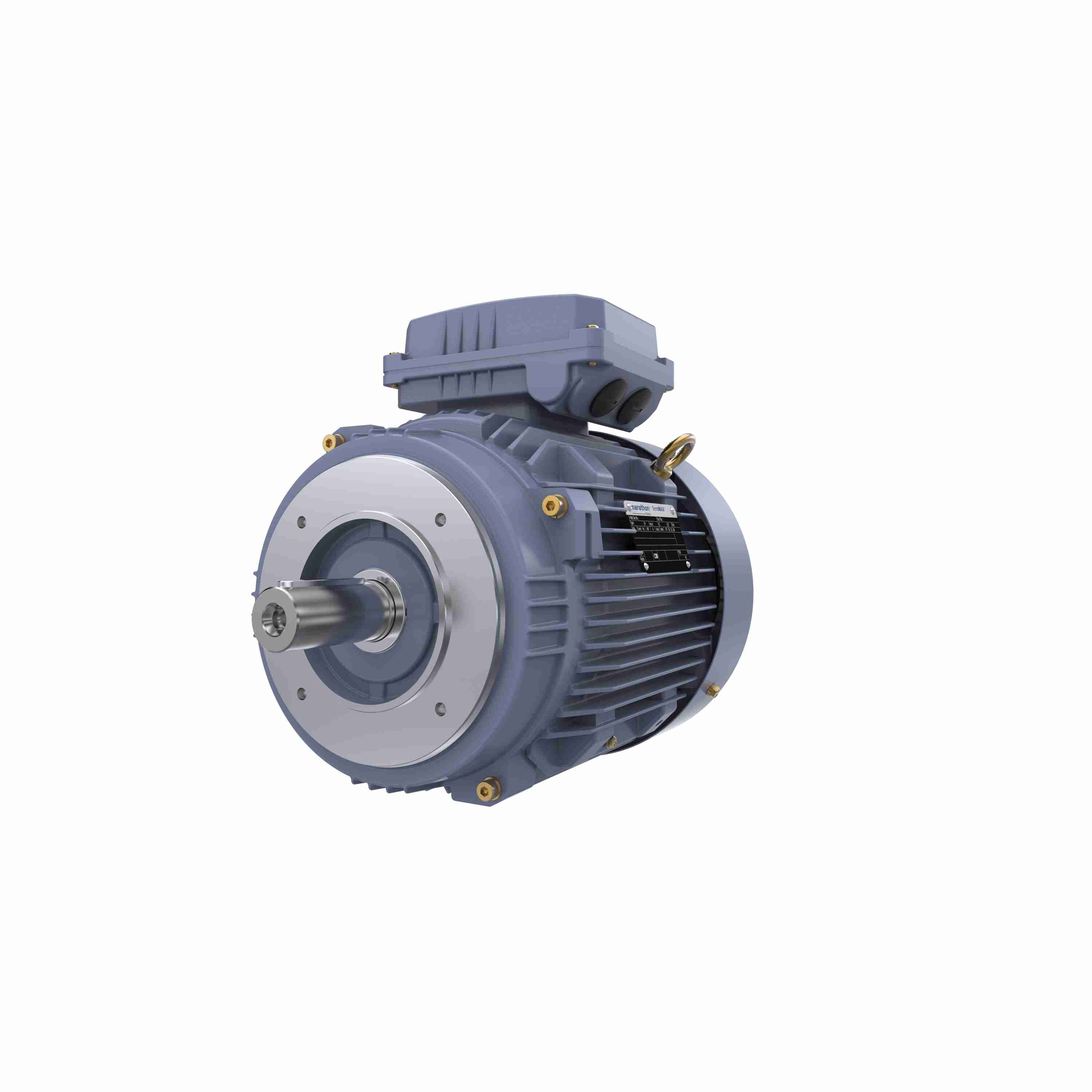 Marathon Electric Cast Iron Motor, 7.50 HP, 3 Ph, 50 Hz, 380 V, 1500 RPM, 132S Frame, TEFC