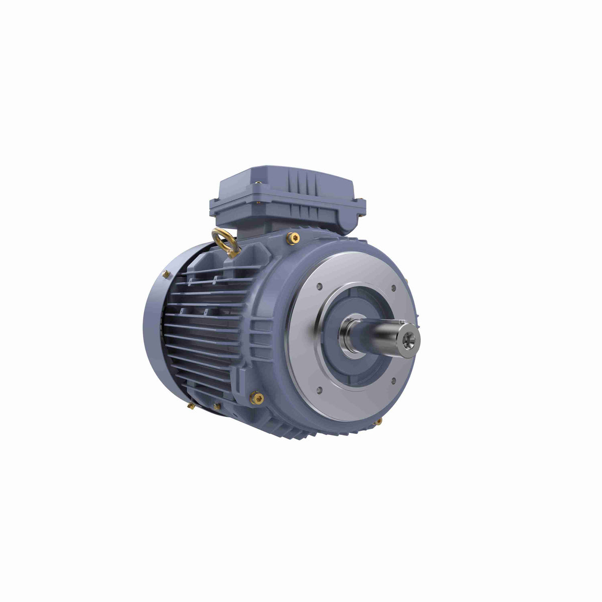Marathon Electric Cast Iron Motor, 5.50 HP, 3 Ph, 50 Hz, 380 V, 1000 RPM, 132M Frame, TEFC