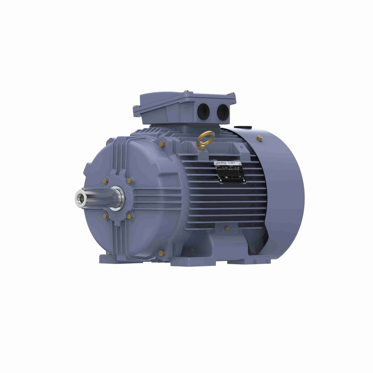 Marathon Electric Cast Iron Motor, 5.50 HP, 3 Ph, 50 Hz, 380 V, 750 RPM, 160M Frame, TEFC