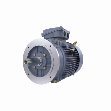 Marathon Electric Cast Iron Motor, 10 HP, 3 Ph, 50 Hz, 380 V, 1000 RPM, 160M Frame, TEFC