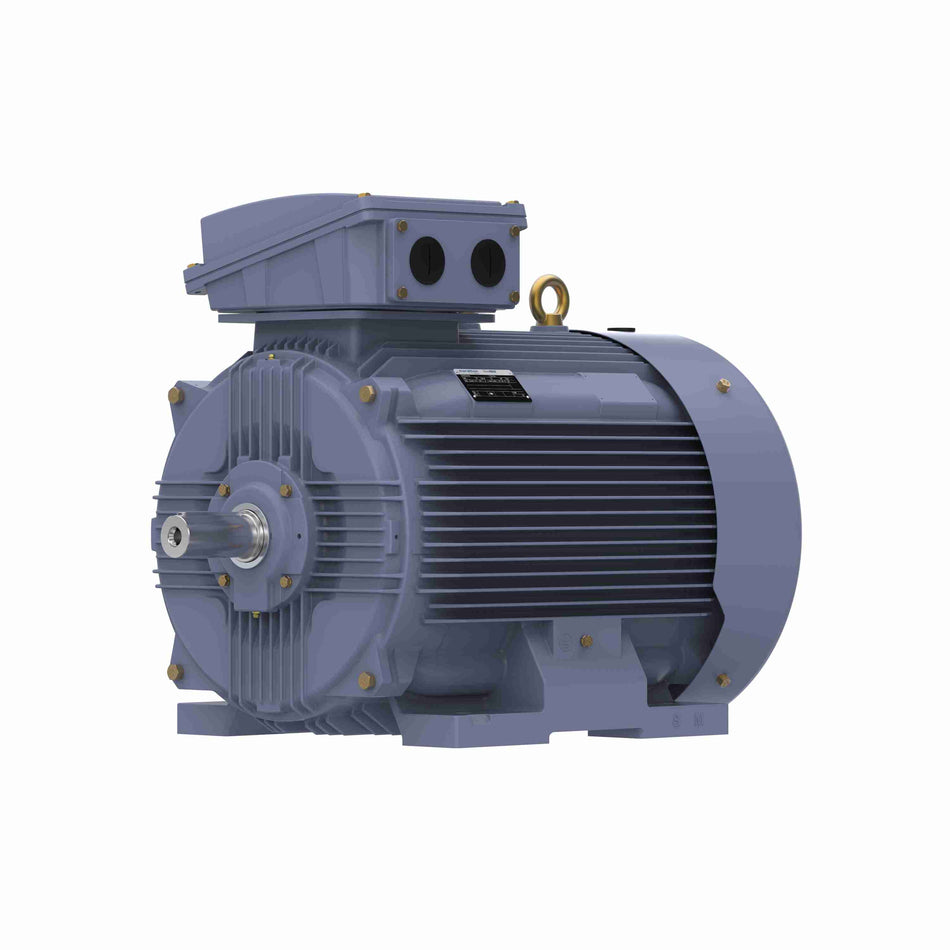 Marathon Electric Cast Iron Motor, 150 HP, 3 Ph, 50 Hz, 400 V, 3000 RPM, 315S Frame, TEFC
