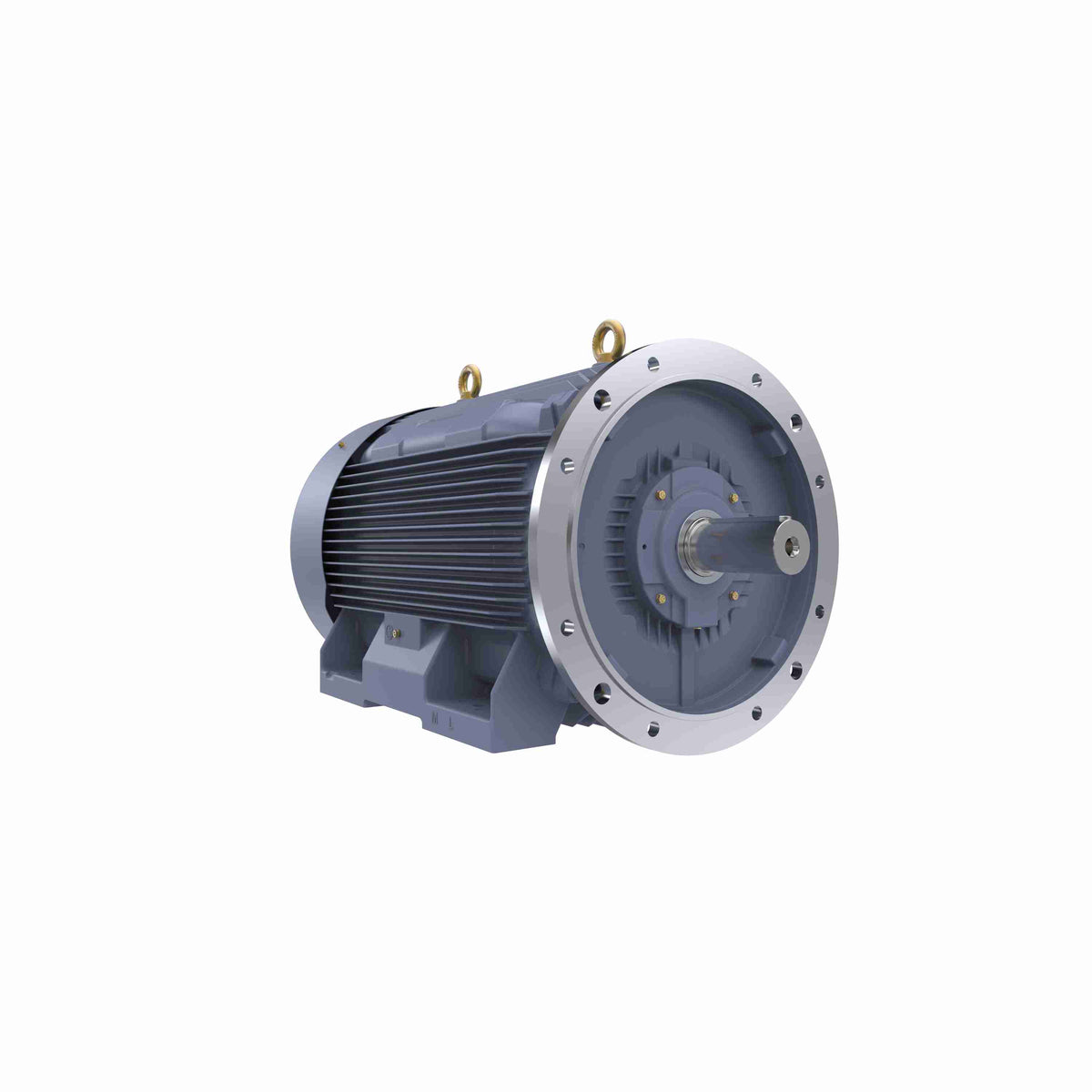 Marathon Electric Cast Iron Motor, 100 HP, 3 Ph, 50 Hz, 400 V, 750 RPM, 315M Frame, TEFC
