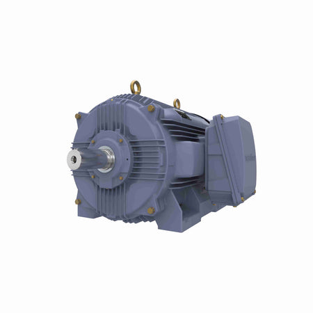 Marathon Electric Cast Iron Motor, 75 HP, 3 Ph, 50 Hz, 380 V, 750 RPM, 315S Frame, TEFC